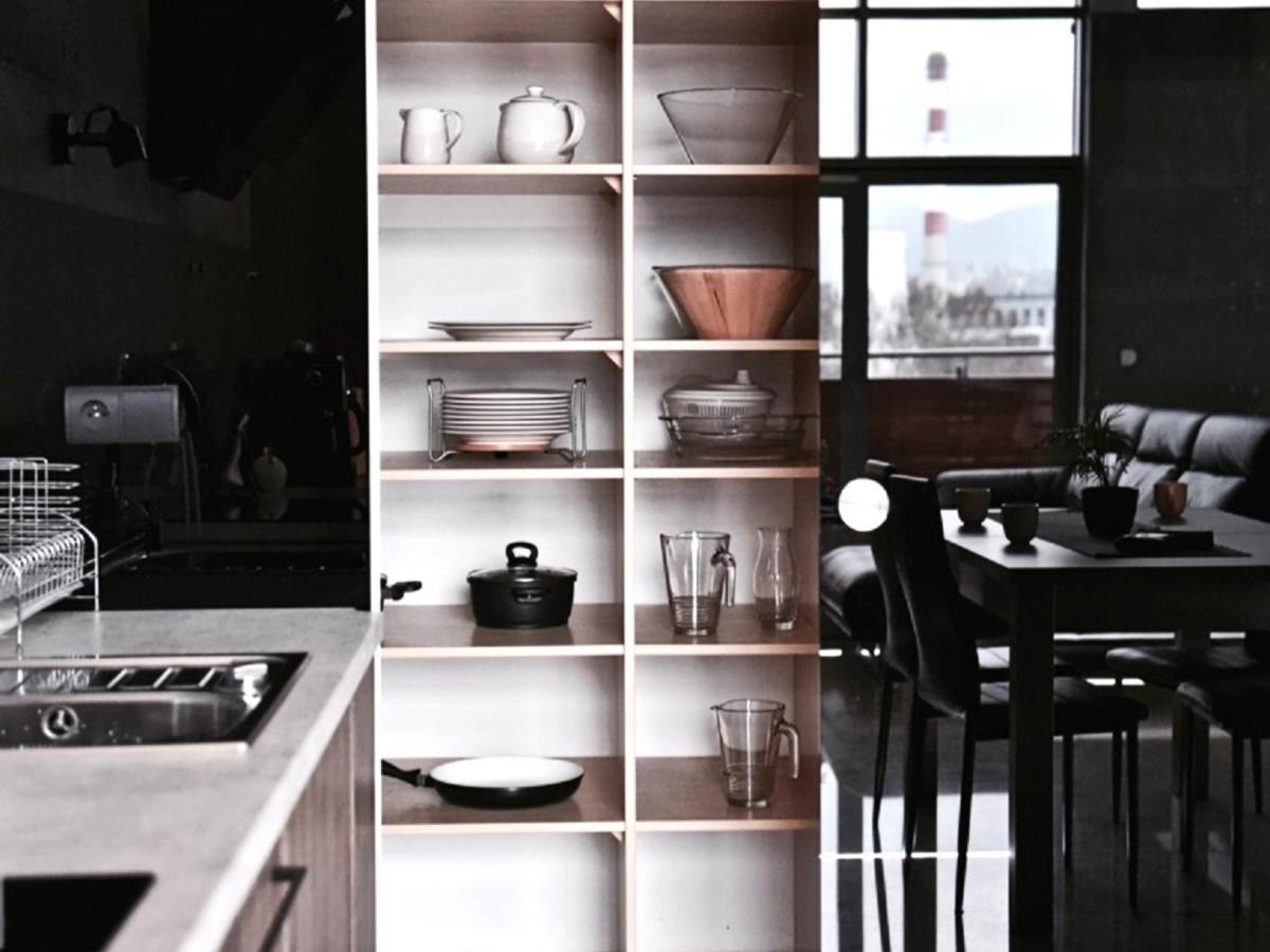 Mlynska 8 Apartament Z Prywatnym Basenem Bílsko-Bělá Exteriér fotografie