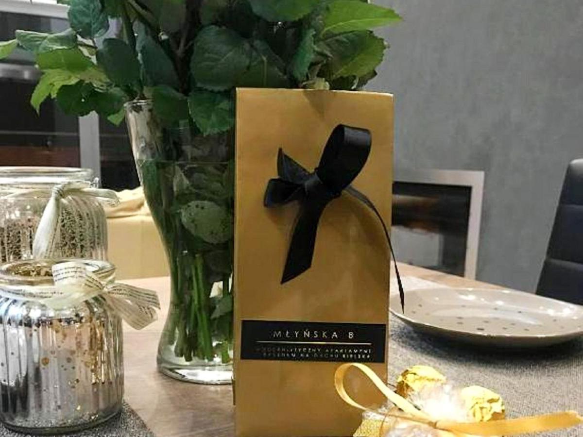 Mlynska 8 Apartament Z Prywatnym Basenem Bílsko-Bělá Exteriér fotografie